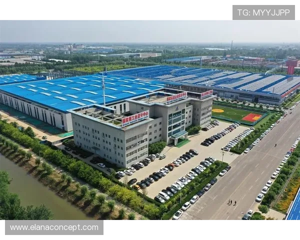 体育垫子工业品在体育产业中的创新应用探索推动运动场地安全与运动体验的升级